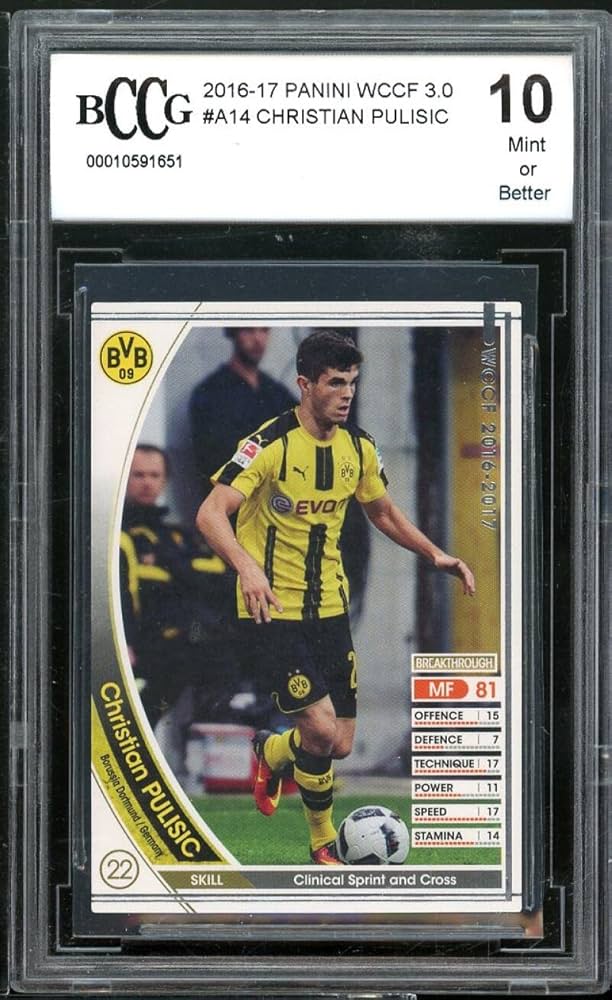 Amazon.com: Christian Pulisic Rookie Card 2016-17 Panini